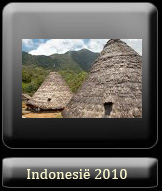 Indonesi� 2010