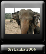 Sri Lanka 2004