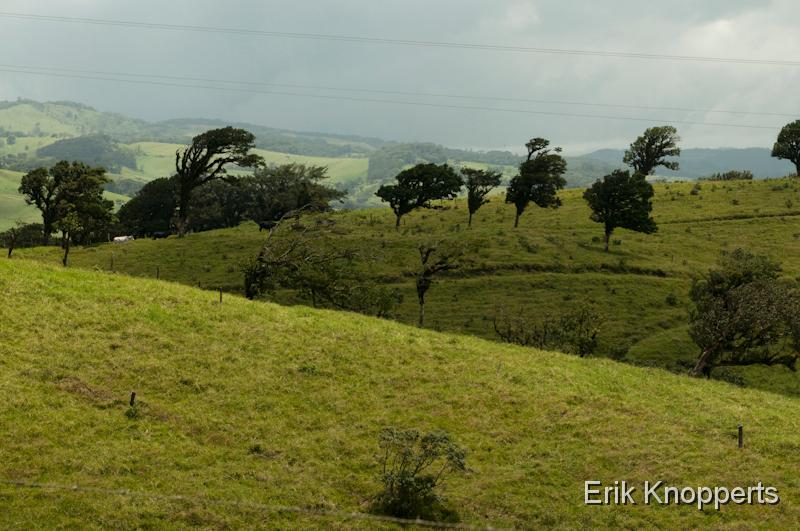 Monteverde-2.jpg