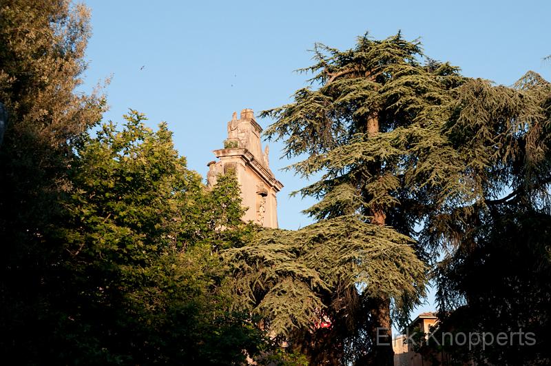Volterra-5.jpg
