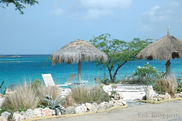 Aruba_2008_69.jpg