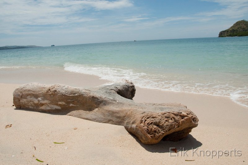 Flores-Riung-13.jpg