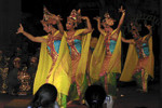 Bali-ava 2003